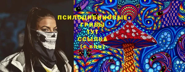 амф Новокубанск