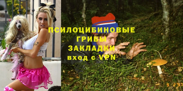 дмт Няндома
