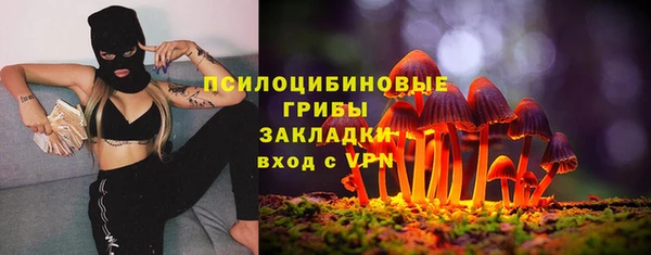 МДПВ Новозыбков