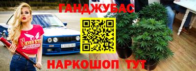 экстази Гай