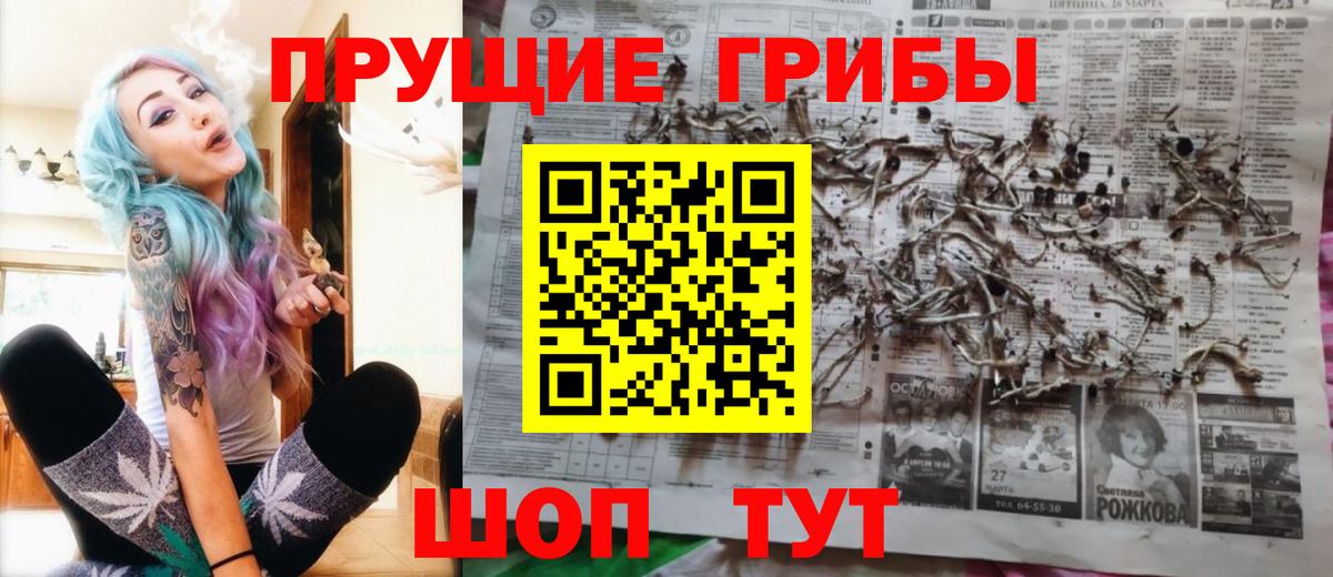 сколько стоит  Псилоцибиновые грибы прущие грибы  Галлюциногенные грибы мицелий  Вход с VPN  Отрадное 