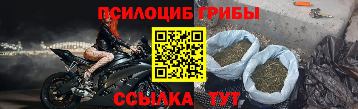 Галлюциногенные грибы Magic Shrooms Отрадное