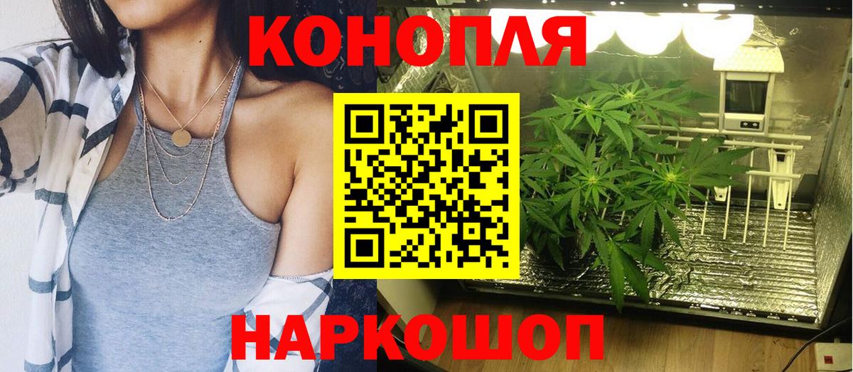 Канабис конопля  Вход с VPN  Канабис планчик  Отрадное 